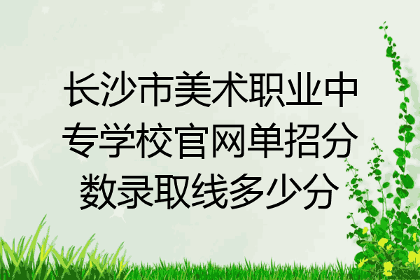 长沙市美术职业中专学校官网单招分数录取线多少分