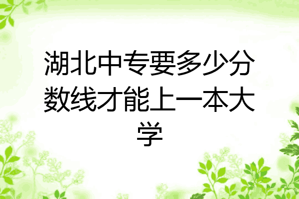 湖北中专要多少分数线才能上一本大学