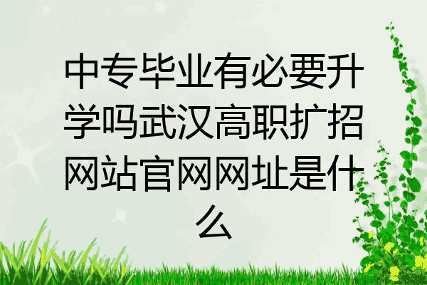 中专毕业有必要升学吗武汉高职扩招网站官网网址是什么