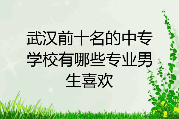 武汉前十名的中专学校有哪些专业男生喜欢