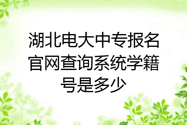 湖北电大中专报名官网查询系统学籍号是多少