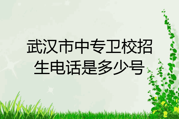 武汉市中专卫校招生电话是多少号