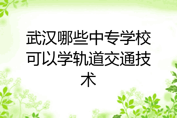 武汉哪些中专学校可以学轨道交通技术