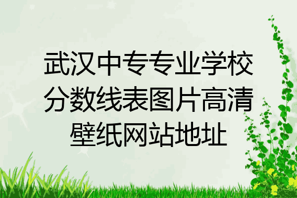 武汉中专专业学校分数线表图片高清壁纸网站地址