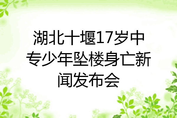 湖北十堰17岁中专少年坠楼身亡新闻发布会