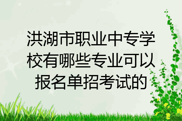 洪湖市职业中专学校有哪些专业可以报名单招考试的
