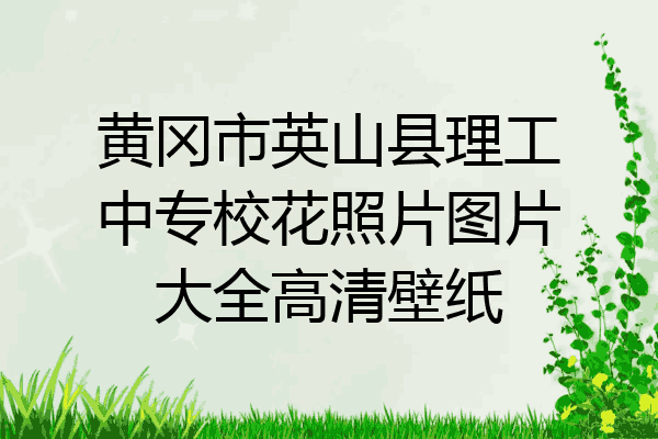 黄冈市英山县理工中专校花照片图片大全高清壁纸