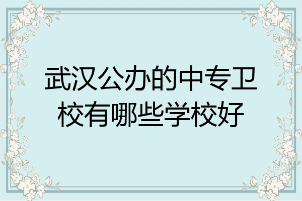 武汉公办的中专卫校有哪些学校好
