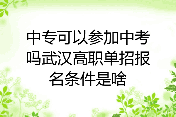 中专可以参加中考吗武汉高职单招报名条件是啥