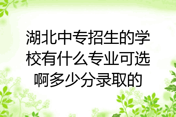 湖北中专招生的学校有什么专业可选啊多少分录取的