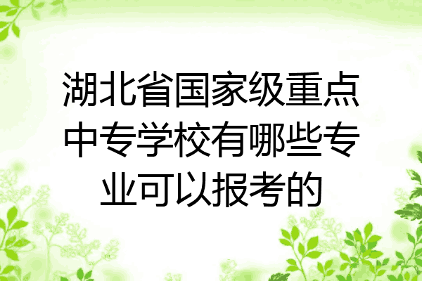湖北省国家级重点中专学校有哪些专业可以报考的