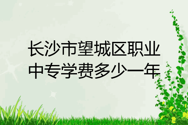 长沙市望城区职业中专学费多少一年