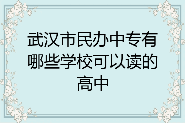 武汉市民办中专有哪些学校可以读的高中