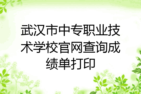 武汉市中专职业技术学校官网查询成绩单打印