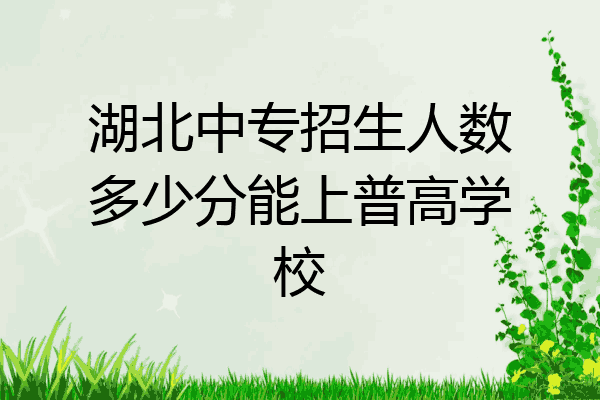 湖北中专招生人数多少分能上普高学校