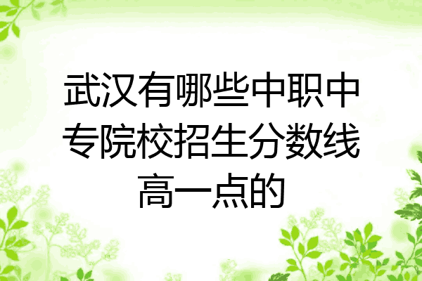 武汉有哪些中职中专院校招生分数线高一点的