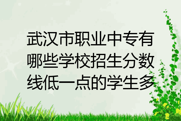 武汉市职业中专有哪些学校招生分数线低一点的学生多