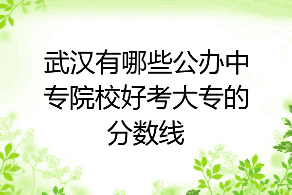 武汉有哪些公办中专院校好考大专的分数线