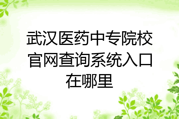 武汉医药中专院校官网查询系统入口在哪里