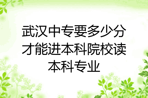 武汉中专要多少分才能进本科院校读本科专业