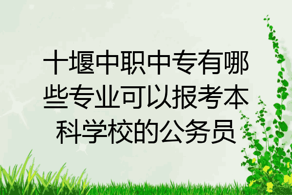 十堰中职中专有哪些专业可以报考本科学校的公务员