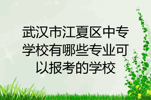 武汉市江夏区中专学校有哪些专业可以报考的学校