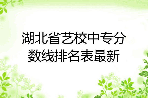 湖北省艺校中专分数线排名表最新