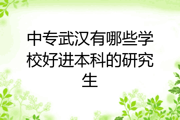 中专武汉有哪些学校好进本科的研究生