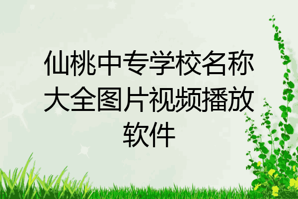 仙桃中专学校名称大全图片视频播放软件