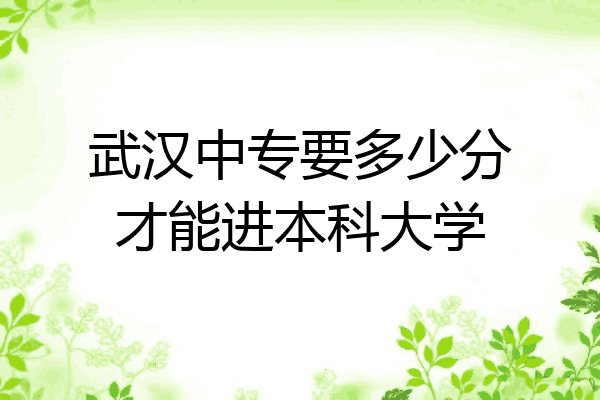 武汉中专要多少分才能进本科大学