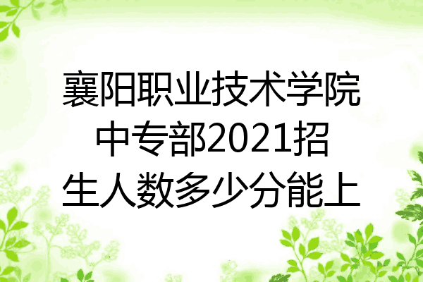 襄阳职业技术学院中专部2021招生人数多少分能上
