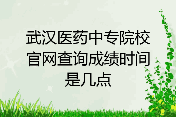 武汉医药中专院校官网查询成绩时间是几点
