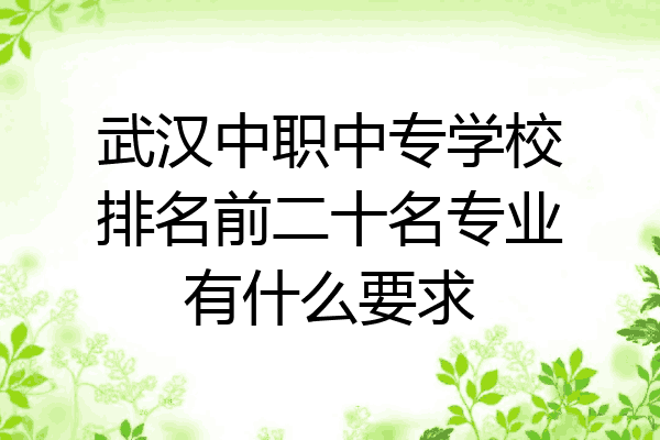 武汉中职中专学校排名前二十名专业有什么要求