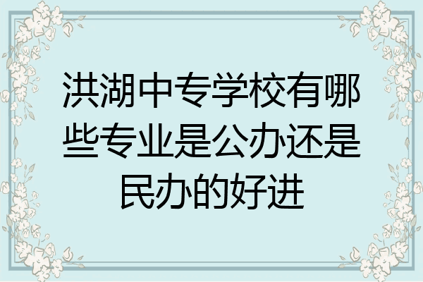 洪湖中专学校有哪些专业是公办还是民办的好进