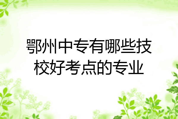 鄂州中专有哪些技校好考点的专业
