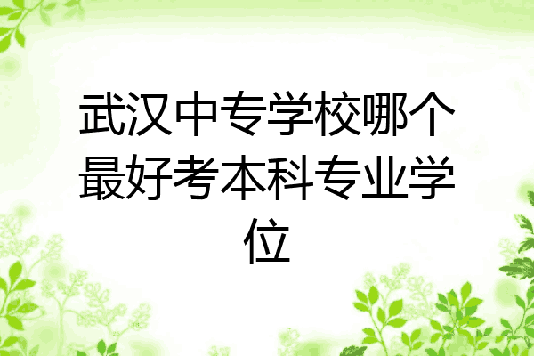 武汉中专学校哪个最好考本科专业学位