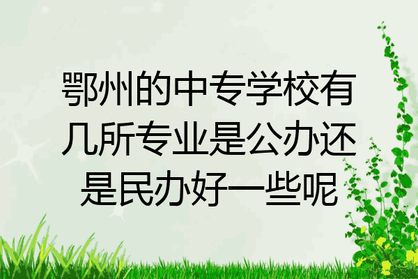 鄂州的中专学校有几所专业是公办还是民办好一些呢