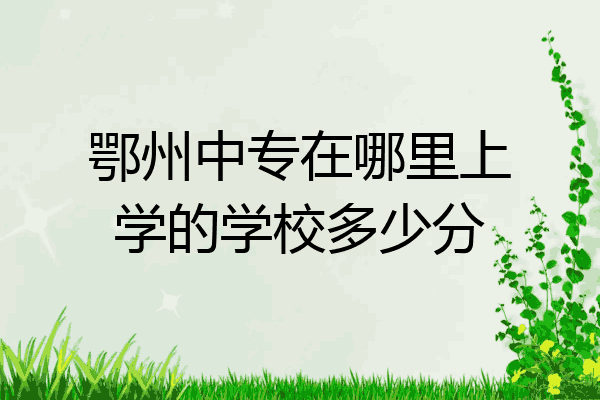 鄂州中专在哪里上学的学校多少分