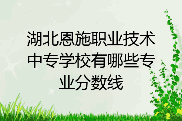湖北恩施职业技术中专学校有哪些专业分数线
