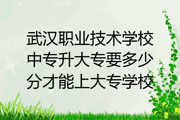 武汉职业技术学校中专升大专要多少分才能上大专学校
