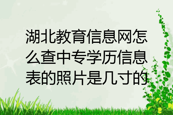 湖北教育信息网怎么查中专学历信息表的照片是几寸的