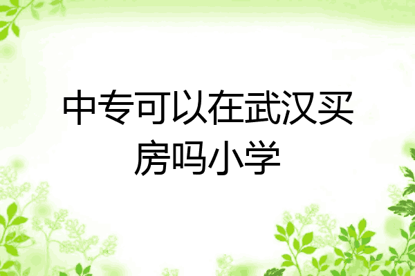中专可以在武汉买房吗小学
