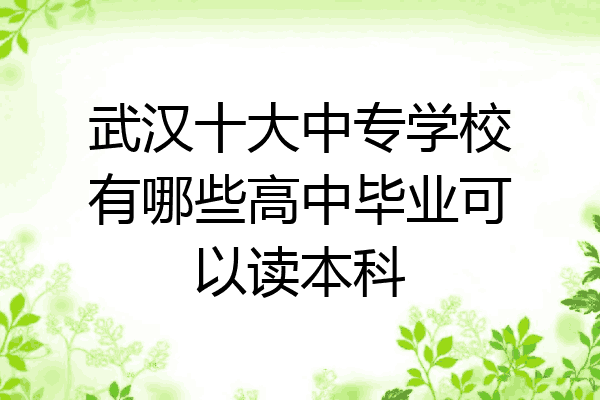武汉十大中专学校有哪些高中毕业可以读本科