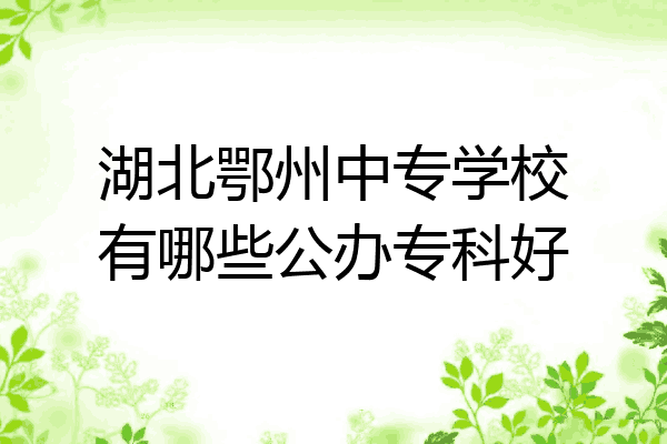 湖北鄂州中专学校有哪些公办专科好