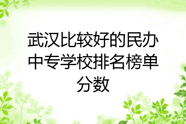 武汉比较好的民办中专学校排名榜单分数