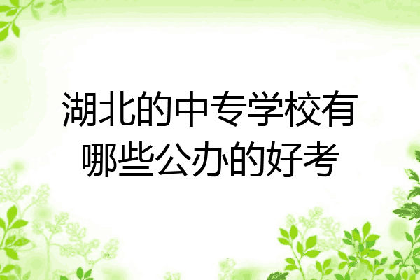 湖北的中专学校有哪些公办的好考