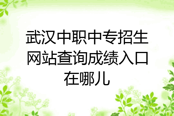 武汉中职中专招生网站查询成绩入口在哪儿