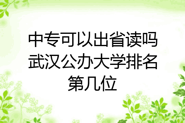 中专可以出省读吗武汉公办大学排名第几位