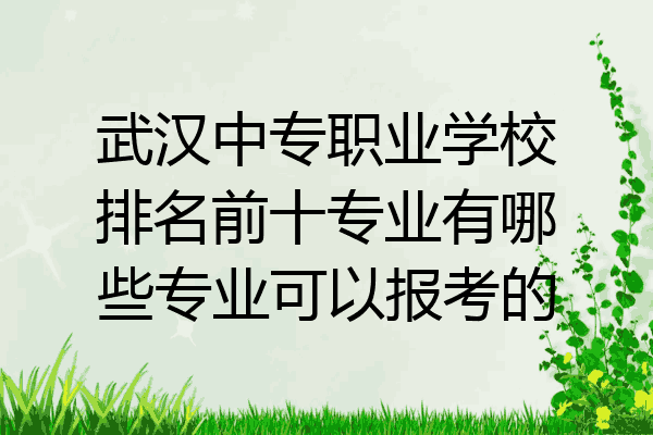 武汉中专职业学校排名前十专业有哪些专业可以报考的