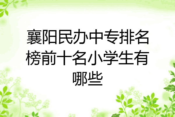 襄阳民办中专排名榜前十名小学生有哪些